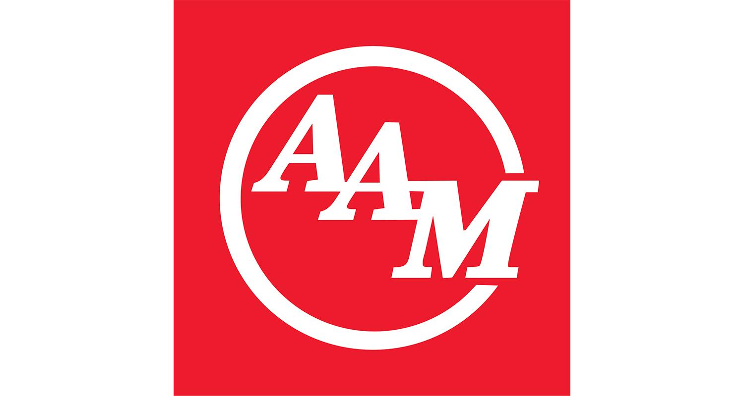  AAM- Material Handling Solutions 